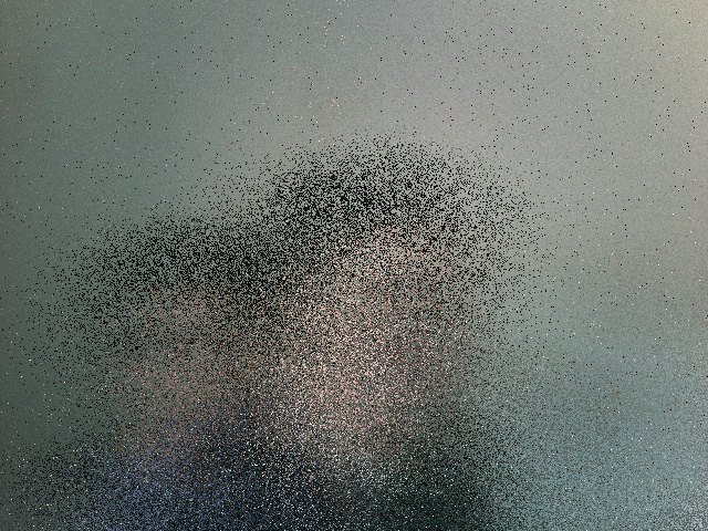 Vortuito
